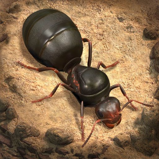 бот для the ants underground
